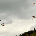 DSC_3577.JPG