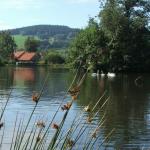 Rybářský rybník v Lačnově - cca 2 km od Telecího