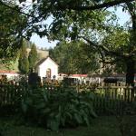 Evangelický hřbitov - jako zelená zahrada